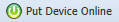11. Put Device Online