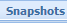 13. Snapshots tab