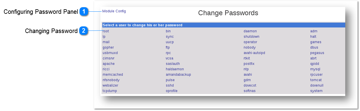 Managing Passwords